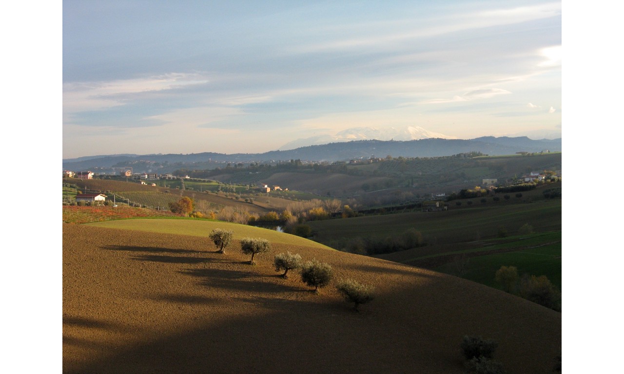 Dove bere un ottimo vino Montepulciano d’Abruzzo Colline Teramane DOCG a l'Aquila