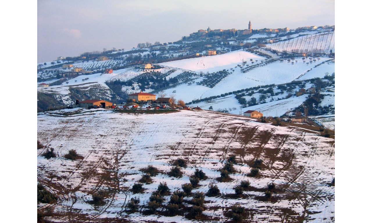 Dove bere un eccezionale vino a base di uve Pecorino a L'Aquila