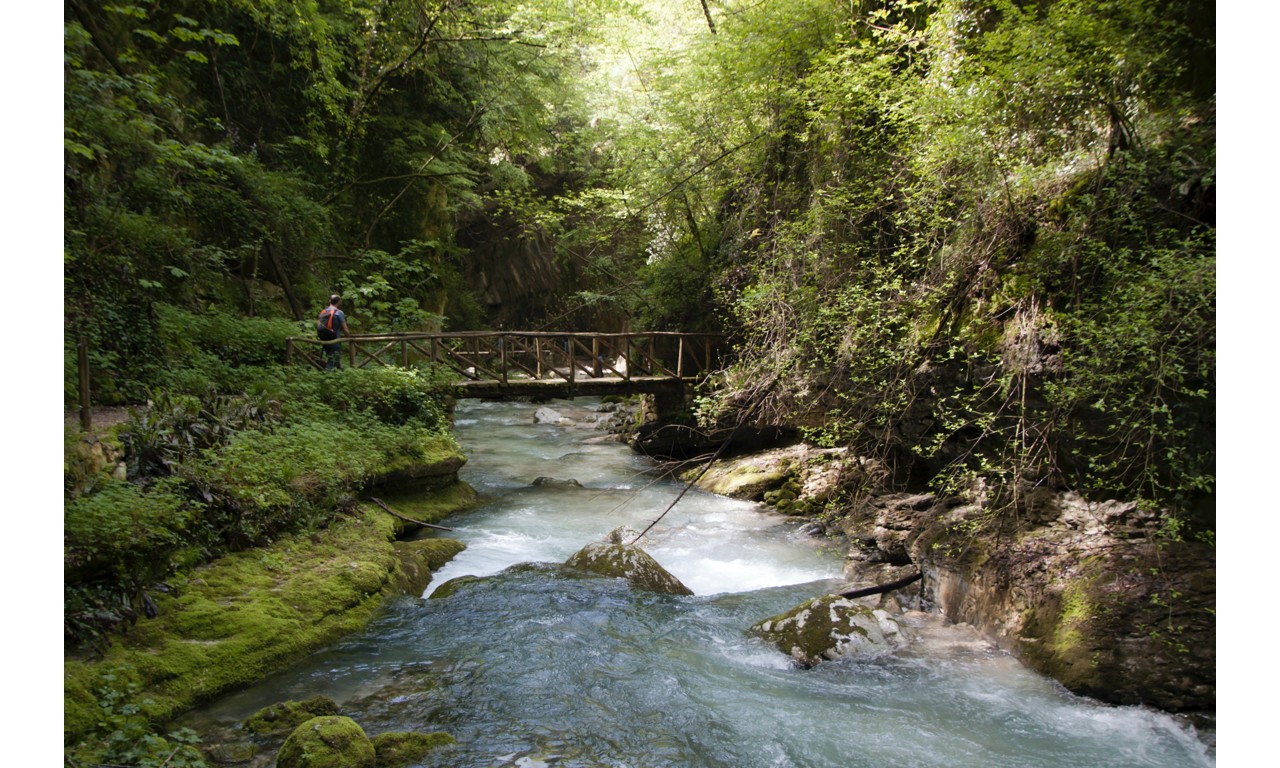 Colline Pescaresi IGT, la celebre denominazione dell'Abruzzo