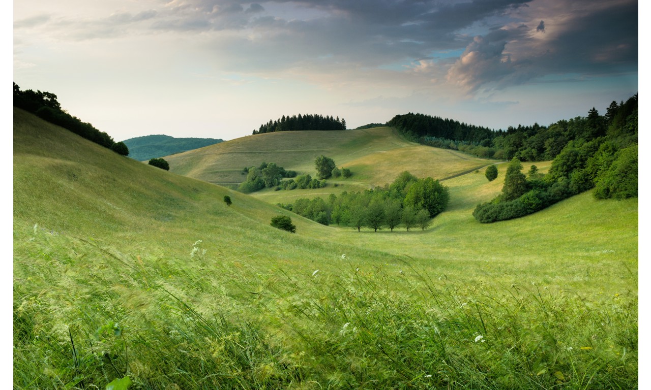 Panorama naturale